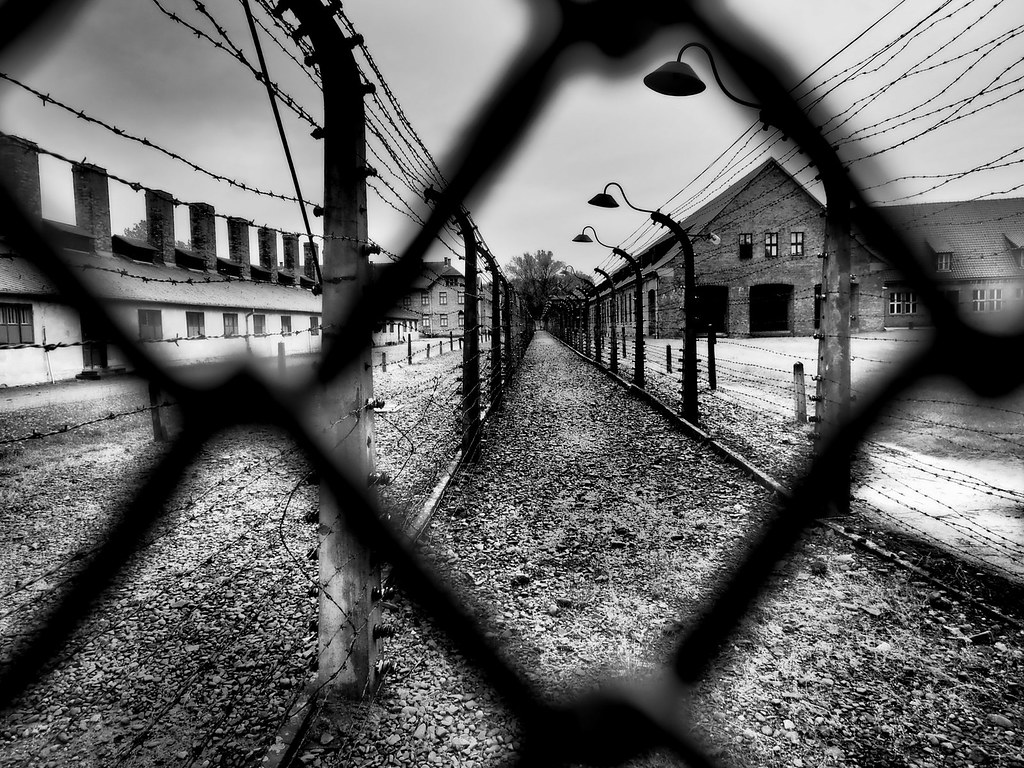 27 gennaio, Giornata della Memoria: ricordare le vittime e combattere la discriminazione dell'uomo contro altri uomini