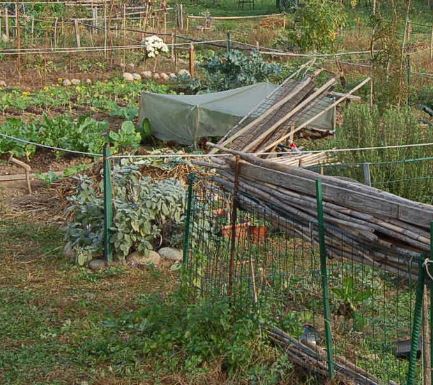 Sgombero orti non autorizzati su aree di proprietà comunale
