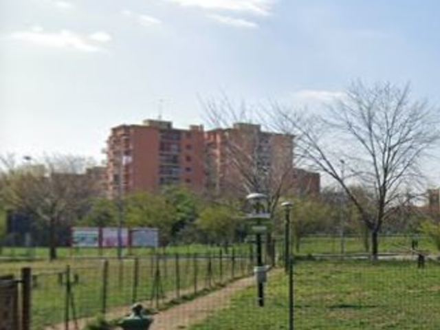 Aree cani: restano aperte ma con limitazioni di tempo e distanza