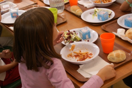 Certificazione delle spese sostenute nel 2019 per ristorazione scolastica ai fini delle detrazioni fiscali - dichiarazione dei redditi anno 2020.