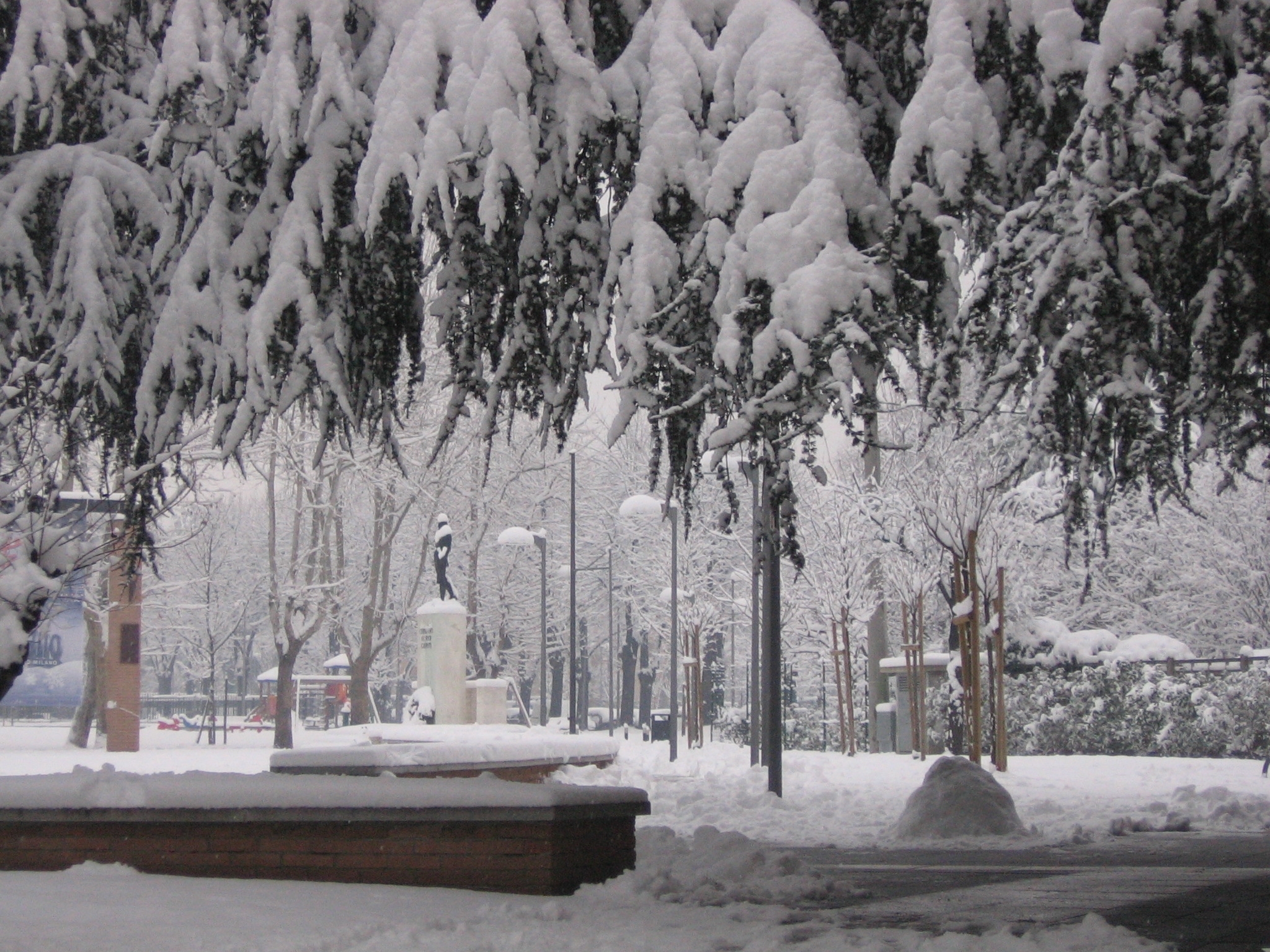 Allerta neve