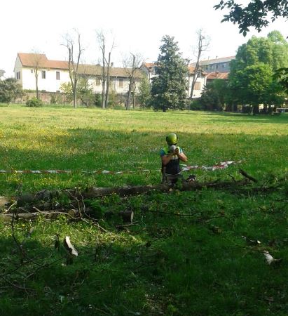 Partito il quinto taglio dell'erba nelle aree pubbliche 