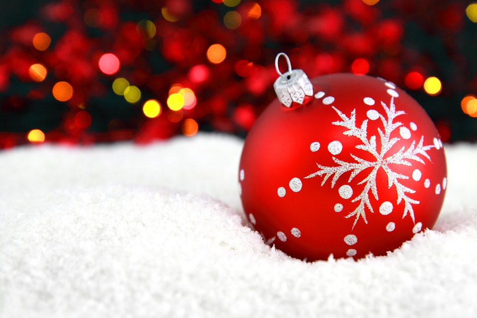 Nuovo menù  nelle scuole di Cormano per festeggiare il  Natale 