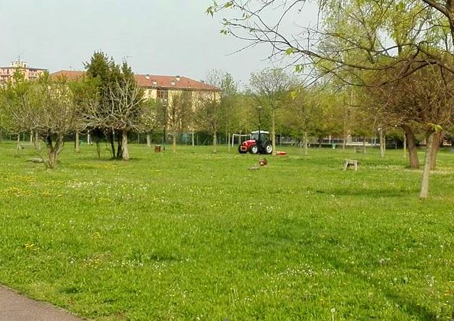 Partito il primo taglio del verde pubblico 